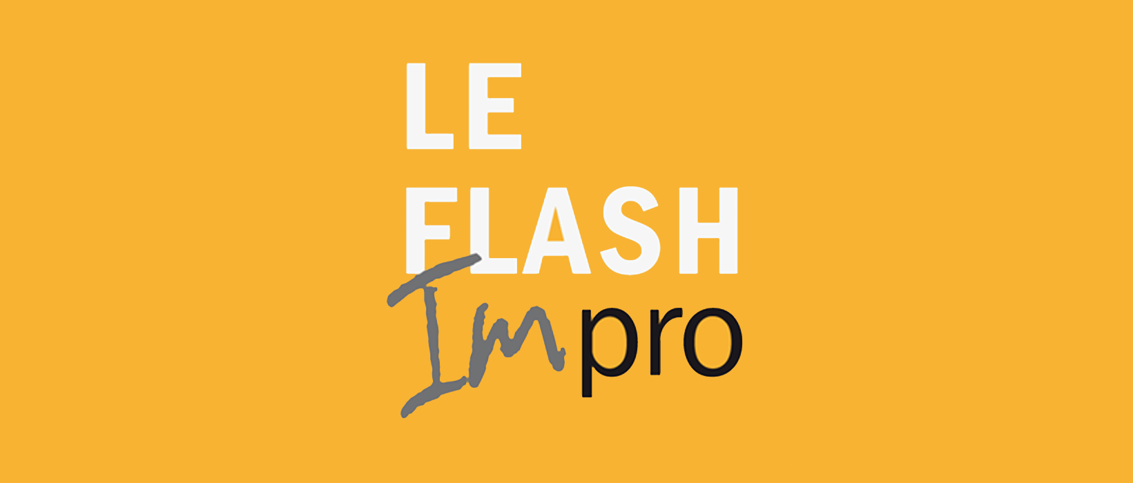 Logo Ecole Normandie Impro